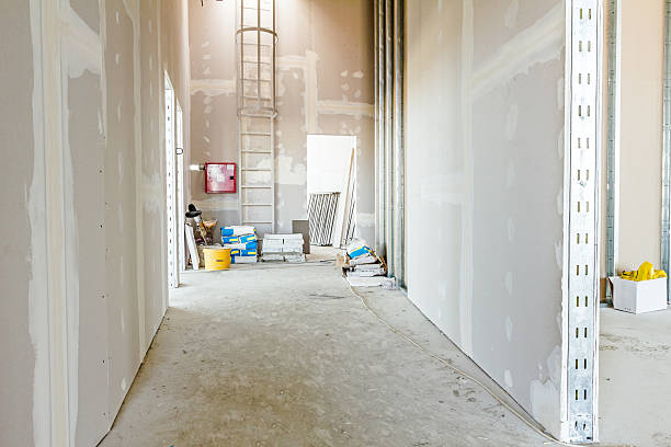 Best Drywall Removal and Disposal  in Paw Paw, MI